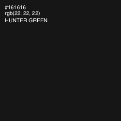 #161616 - Hunter Green Color Image